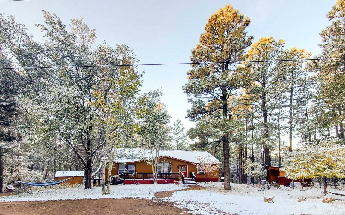 Photo of Others in Forest Lakes