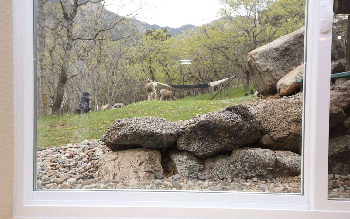 Photo of Others in Southwest Colorado Springs