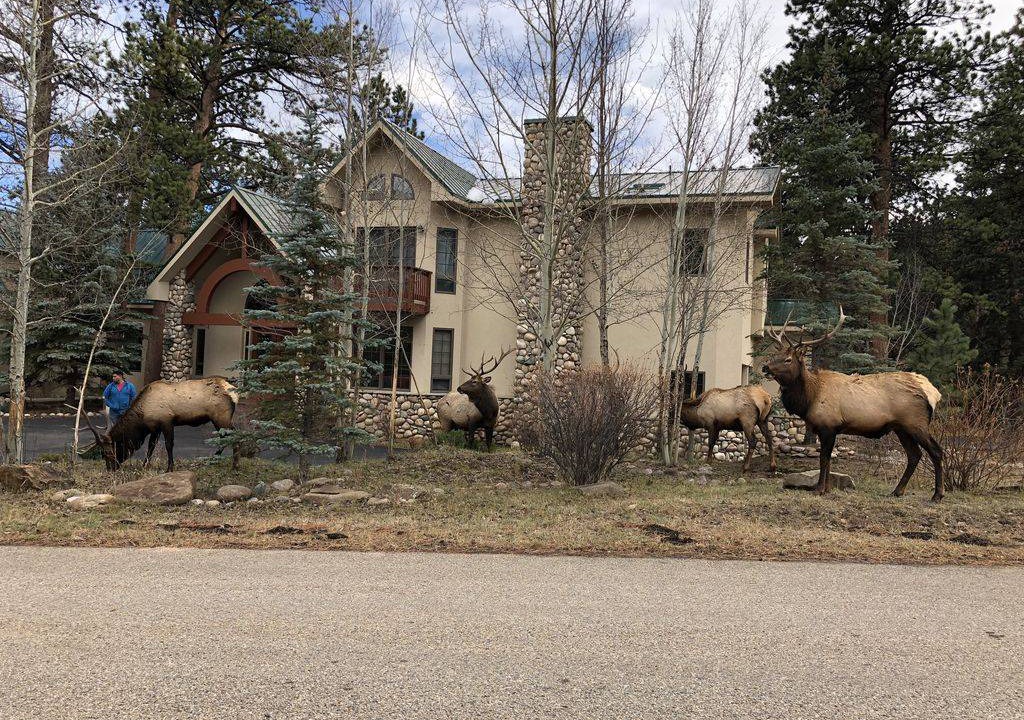 Photo of Buildings in Estes Park