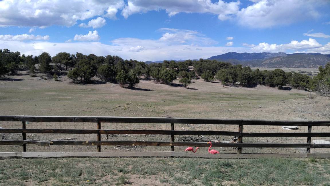 Photo of Others in Salida