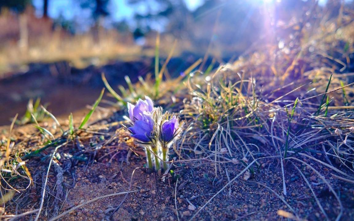 Photo of Outdoor in Estes Park