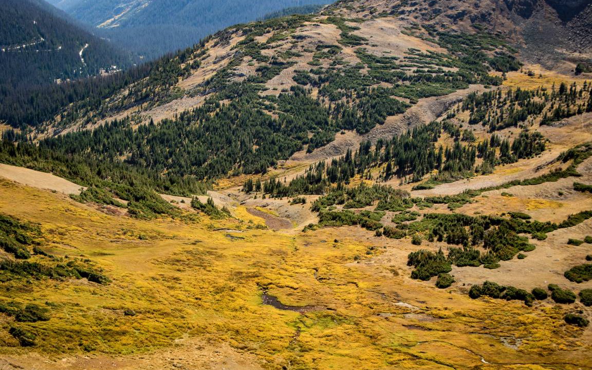 Photo of Others in Estes Park