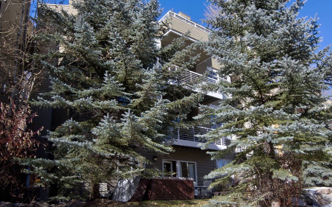Photo of Others in Vail
