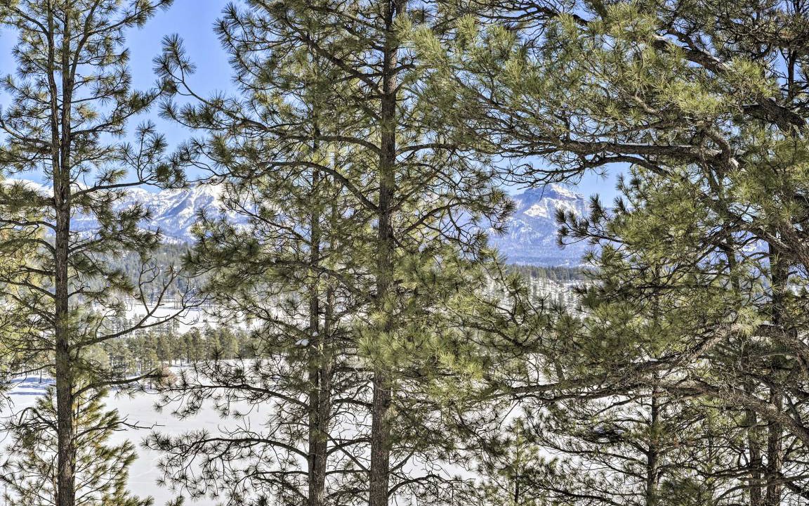 Photo of Others in Pagosa Springs