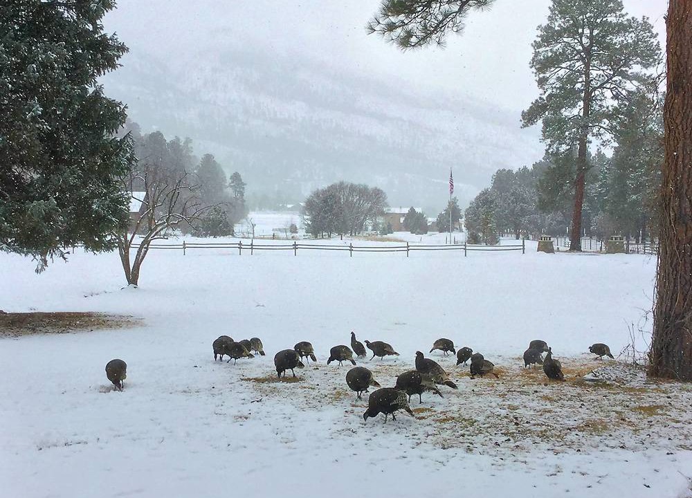 Photo of Others in Durango - Purgatory