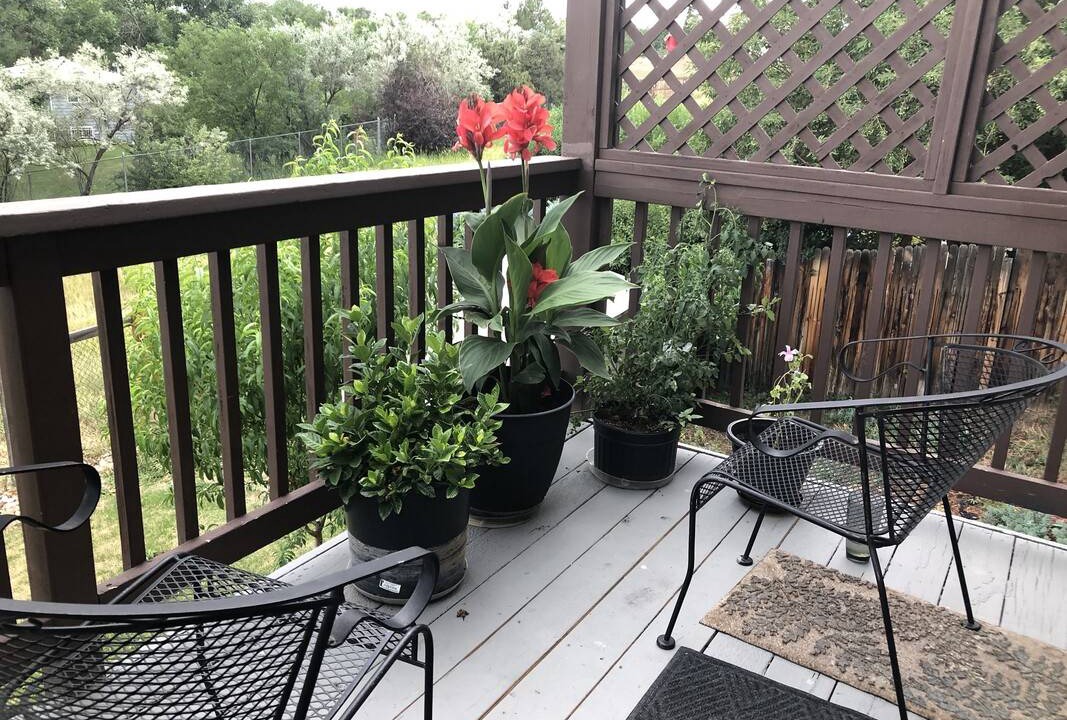 Photo of Patio Balcony in Lakewood