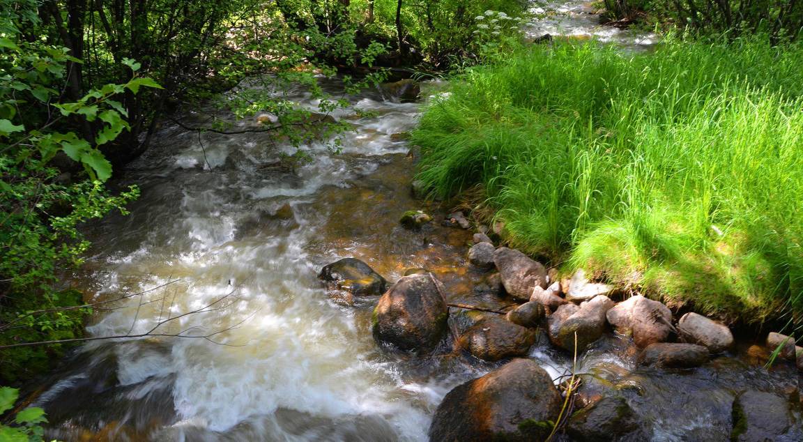 Photo of Others in Beaver Creek
