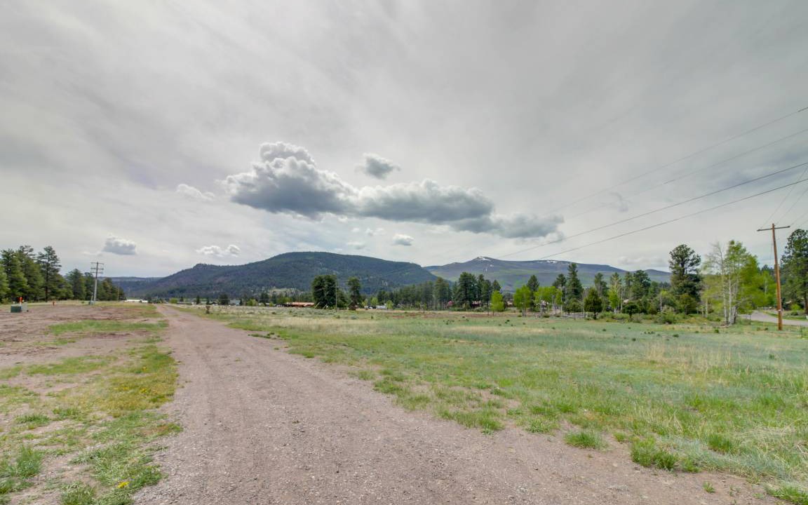 Photo of Others in Ponderosa Pines