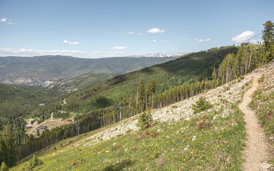 Photo of Others in Beaver Creek