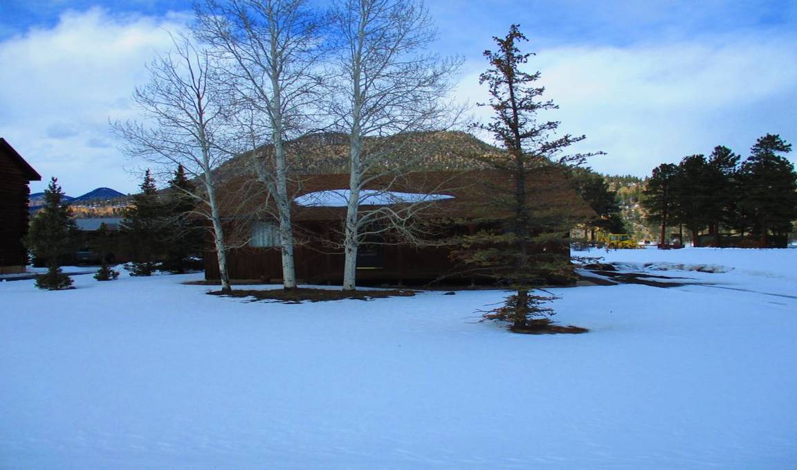 Photo of Others in Ponderosa Pines