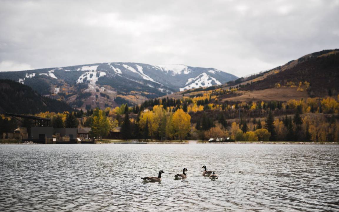 Photo of Others in Eagle-Vail