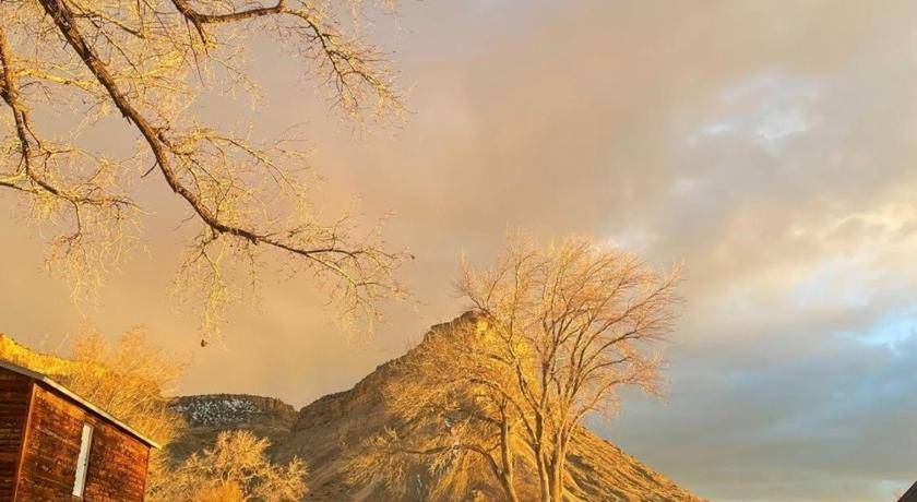Photo of Others in Palisade