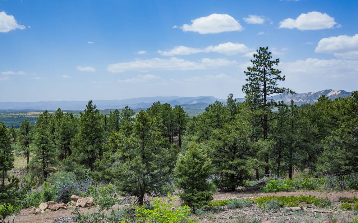 Photo of Others in Rincon Ridge