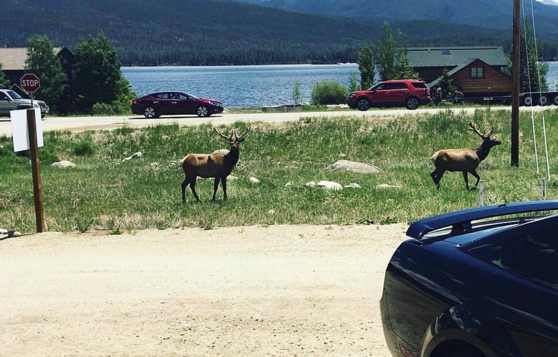 Photo of Others in Grand Lake