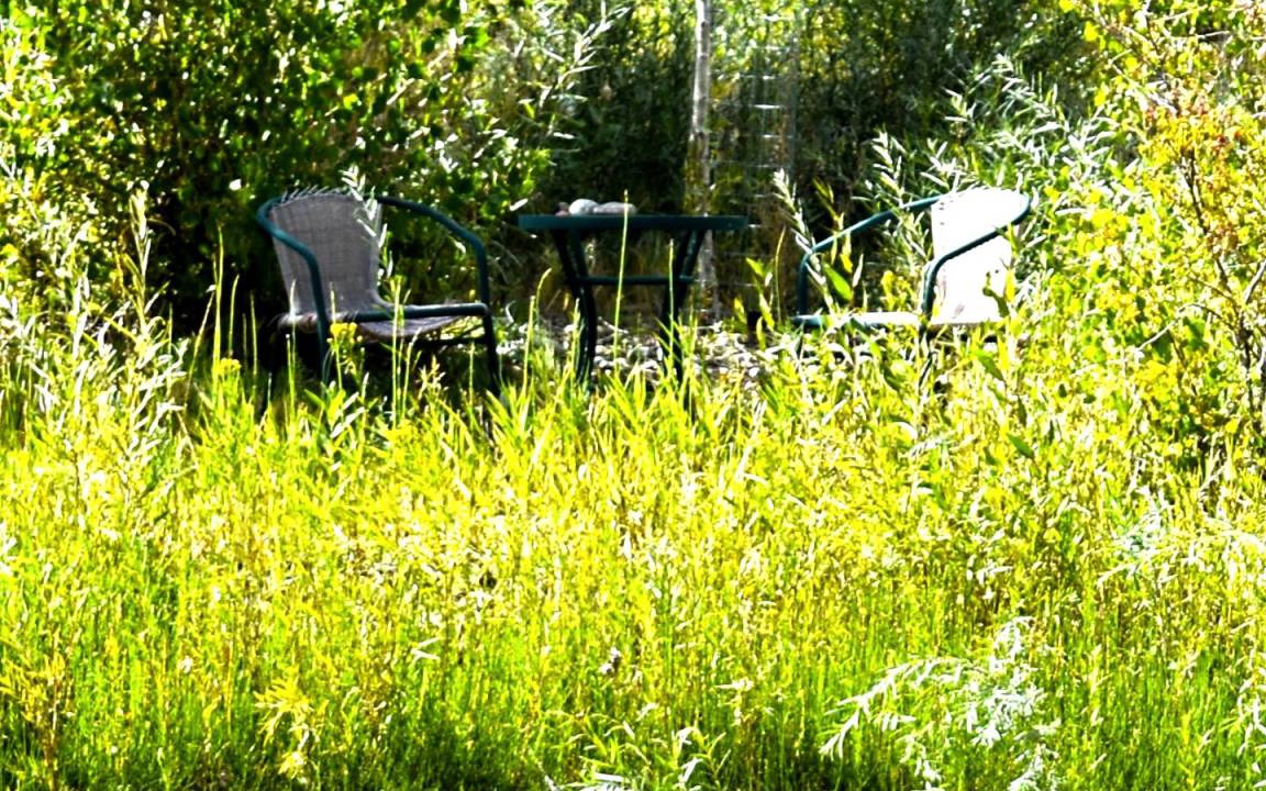 Photo of Outdoor in Lazear