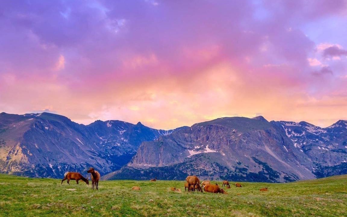 Photo of Others in Estes Park