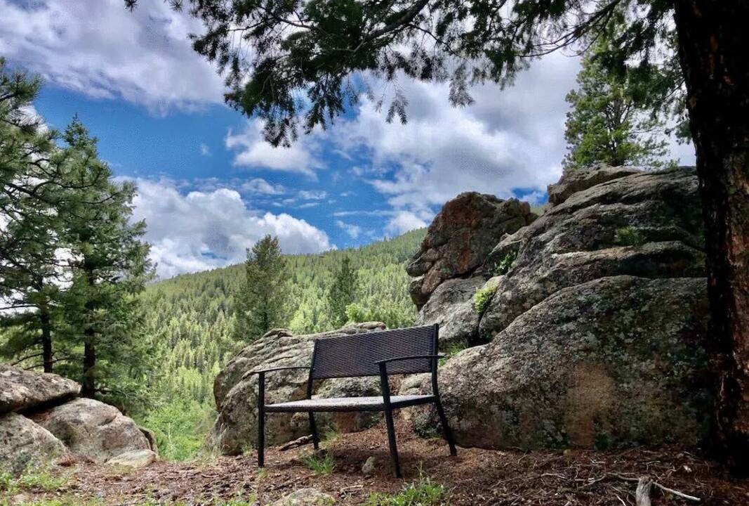 Photo of Others in Conifer Mountain and Meadows
