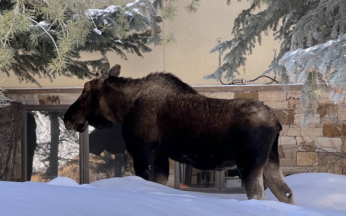 Photo of Others in Eagle-Vail