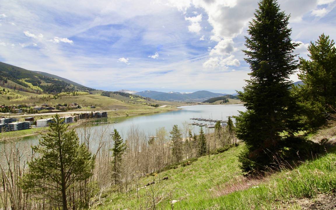 Photo of Others in Dillon