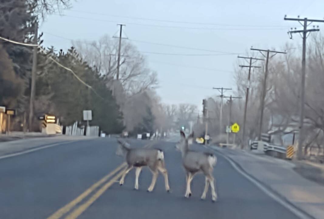 Photo of Others in Fort Collins