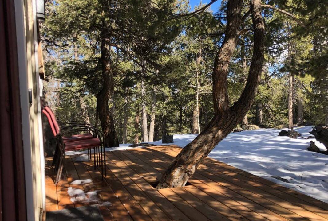Photo of Others in Conifer Mountain and Meadows