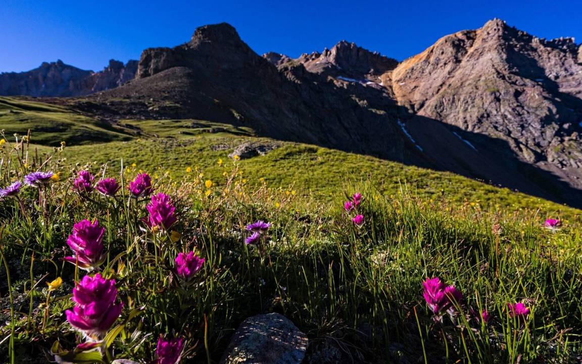 Photo of Others in Telluride