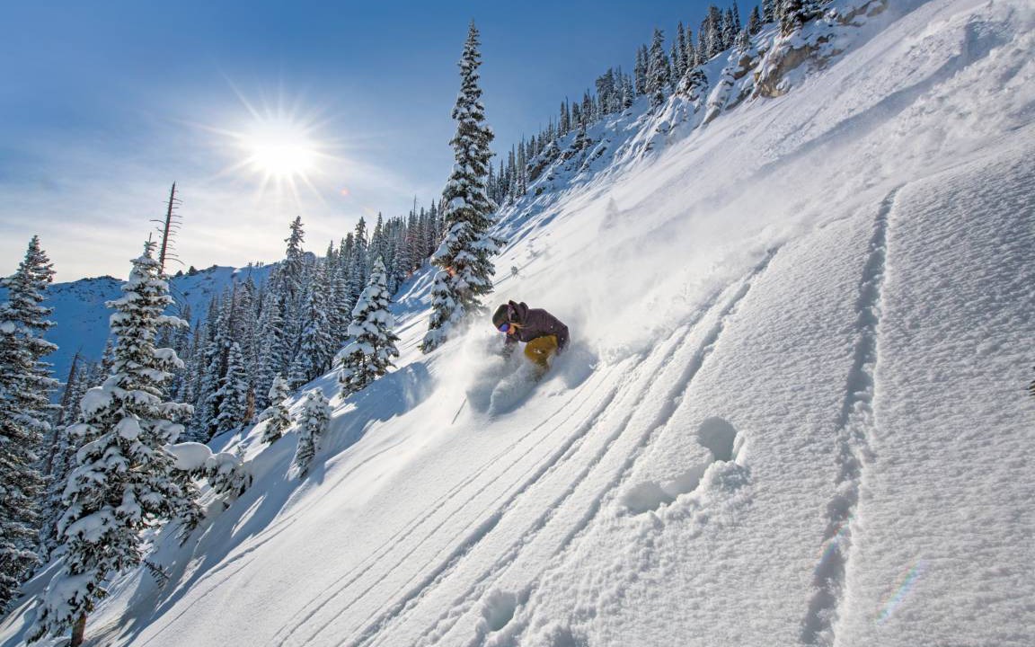 Photo of Others in Crested Butte
