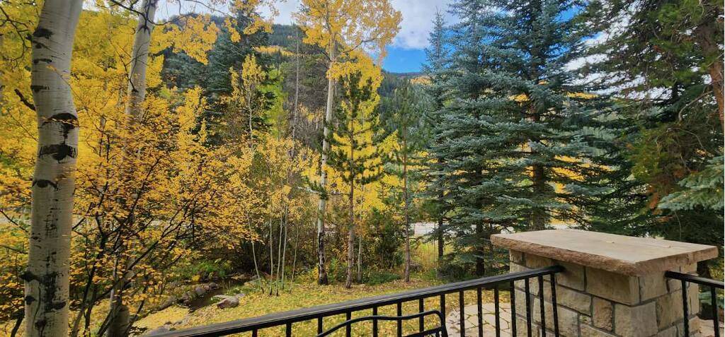 Photo of Others in Vail