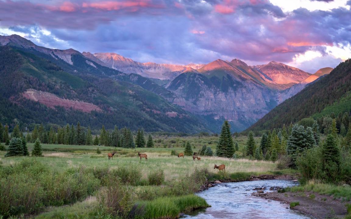 Photo of Others in Telluride