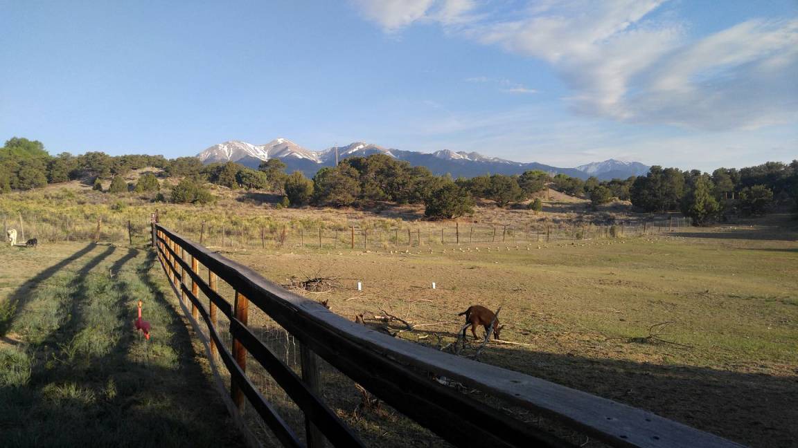 Photo of Others in Salida