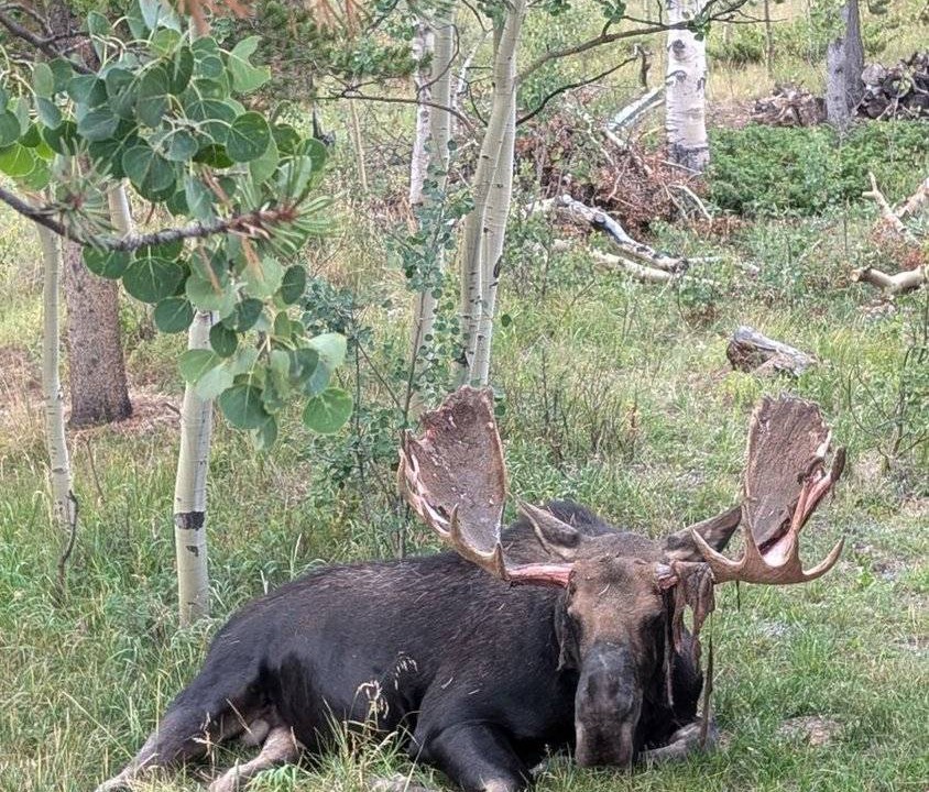 Photo of Others in Warm Springs