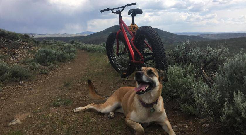 Photo of Others in Gunnison