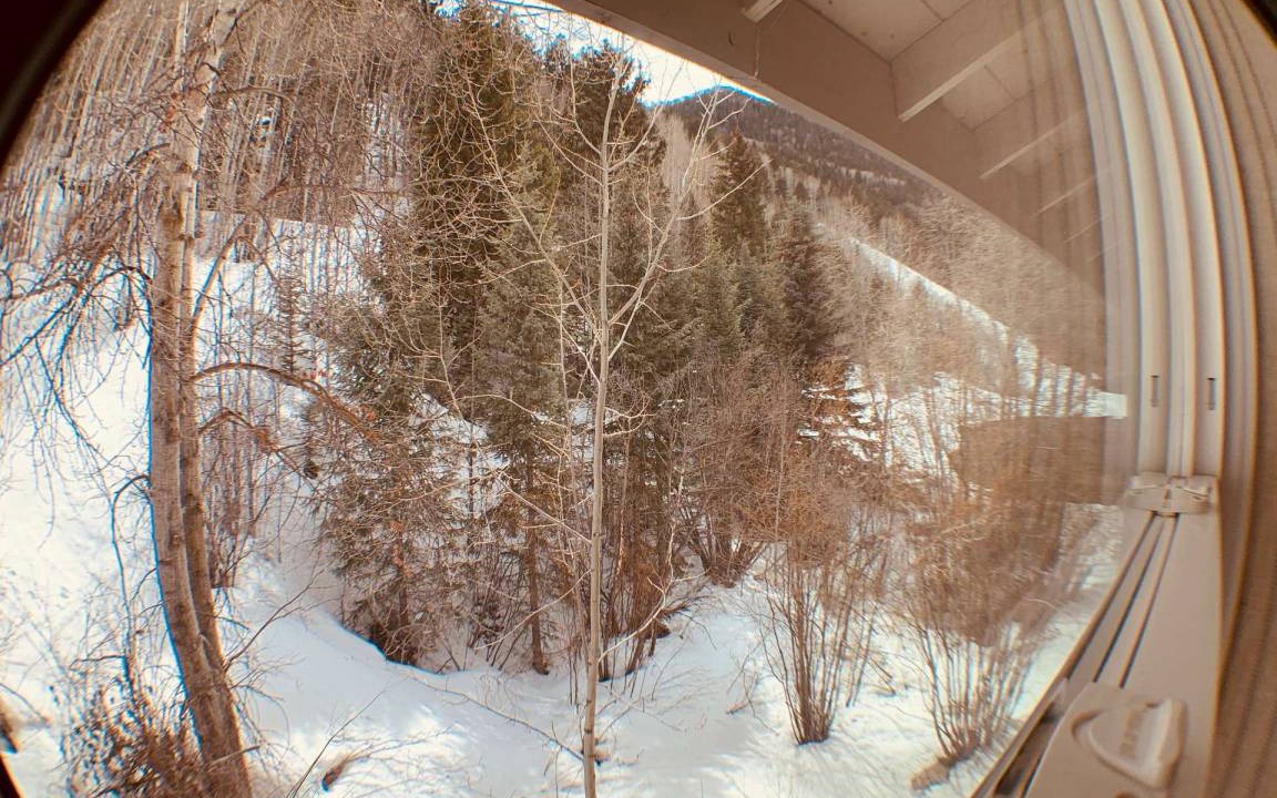 Photo of Others in Telluride