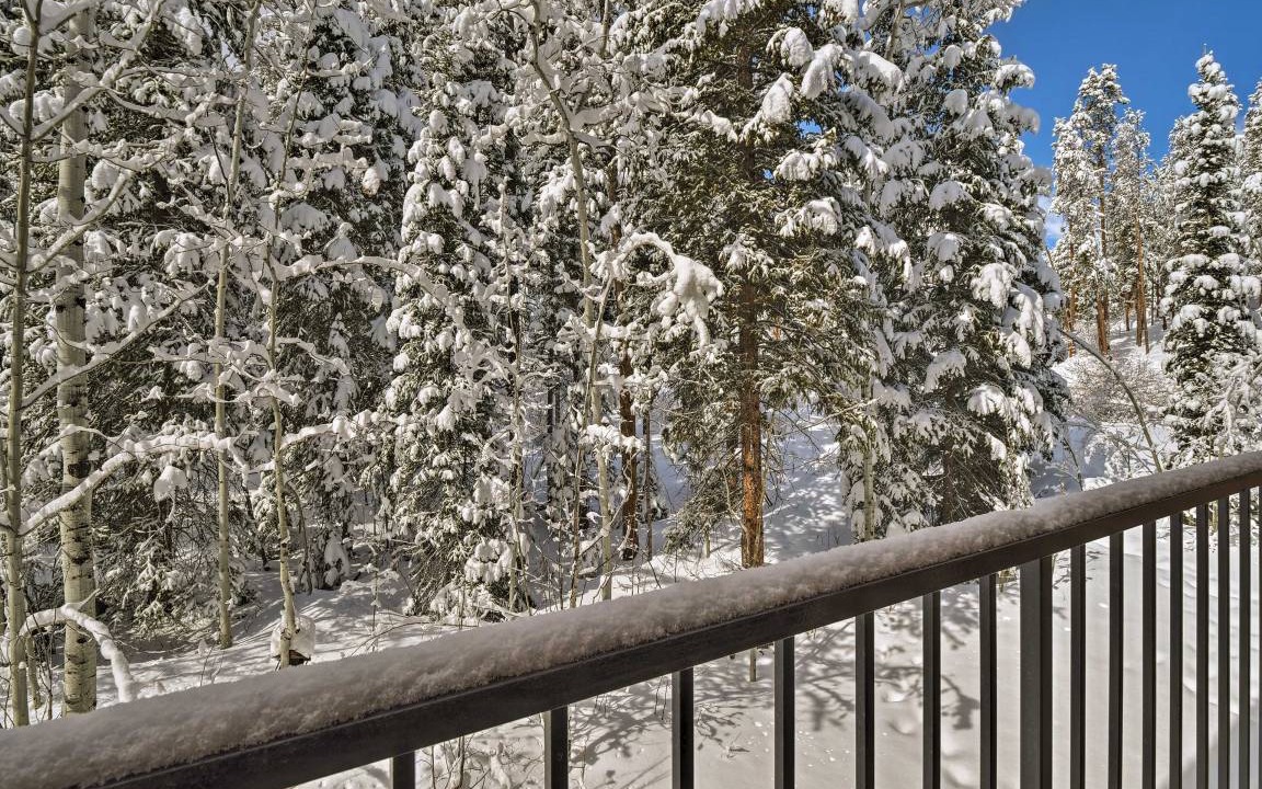 Photo of Others in Winter Park