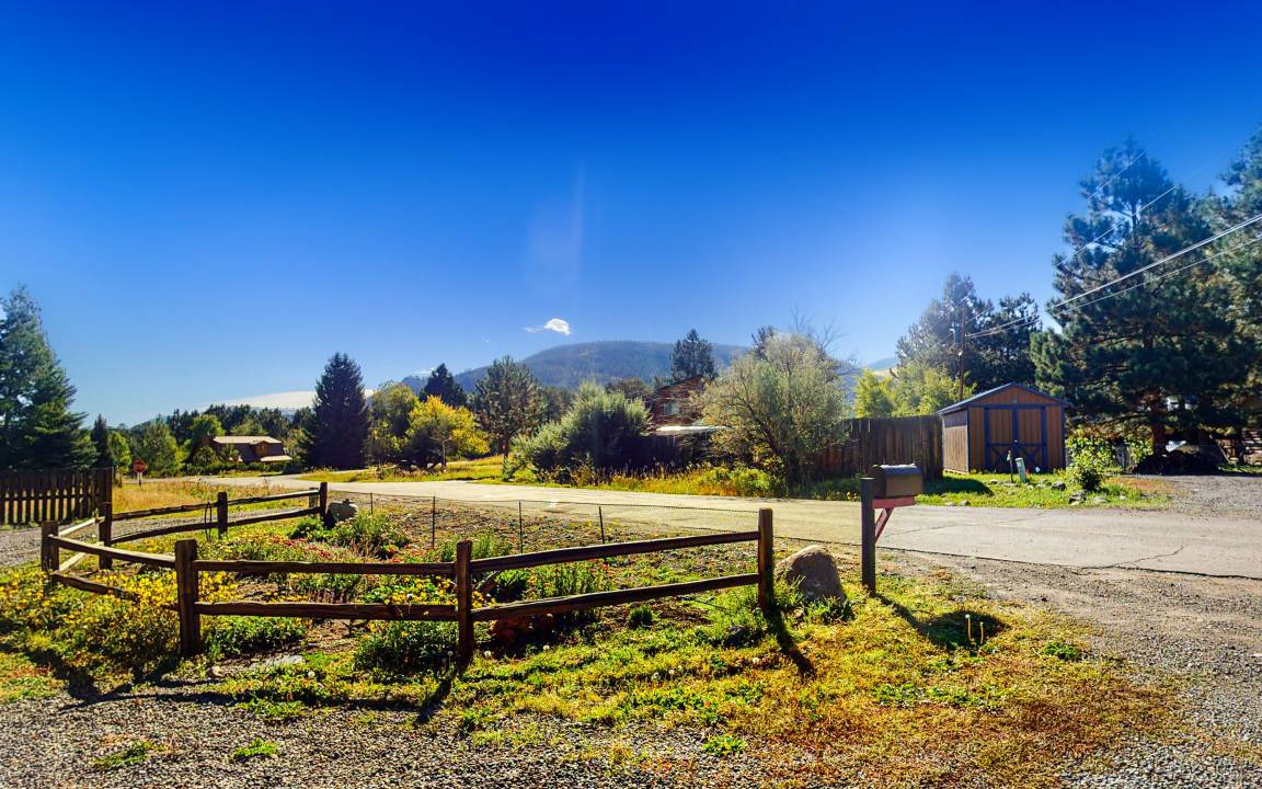 Photo of Others in Ponderosa Pines