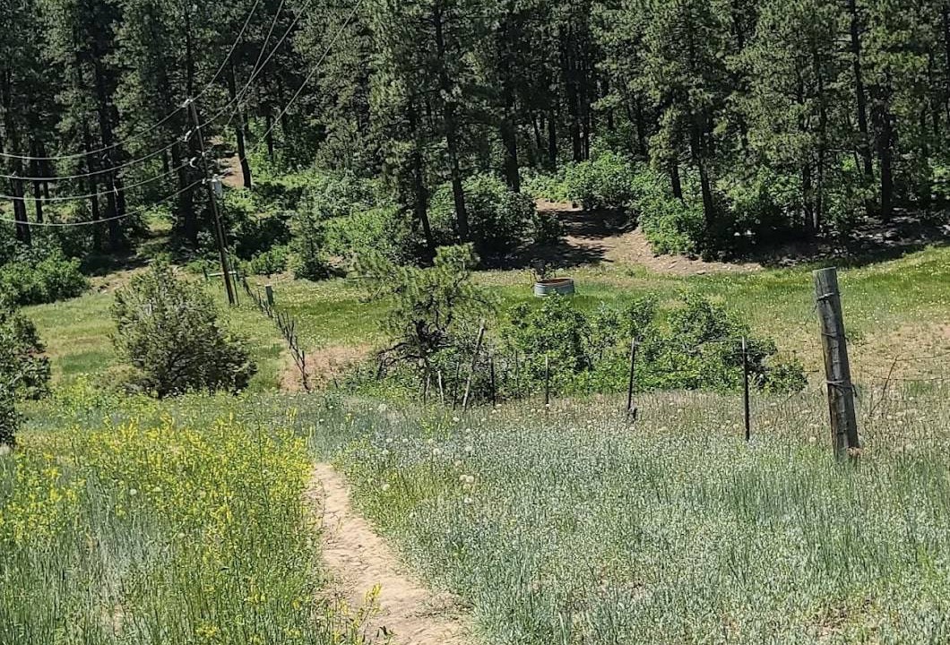 Photo of Others in Durango West