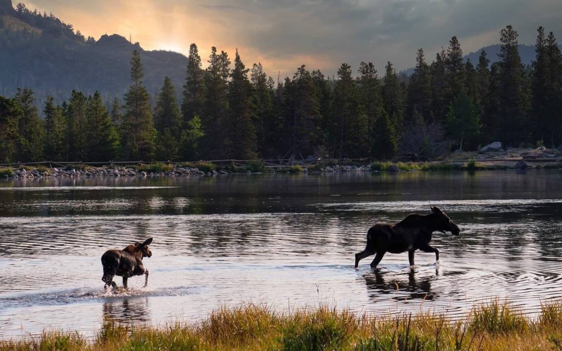 Photo of Others in Estes Park