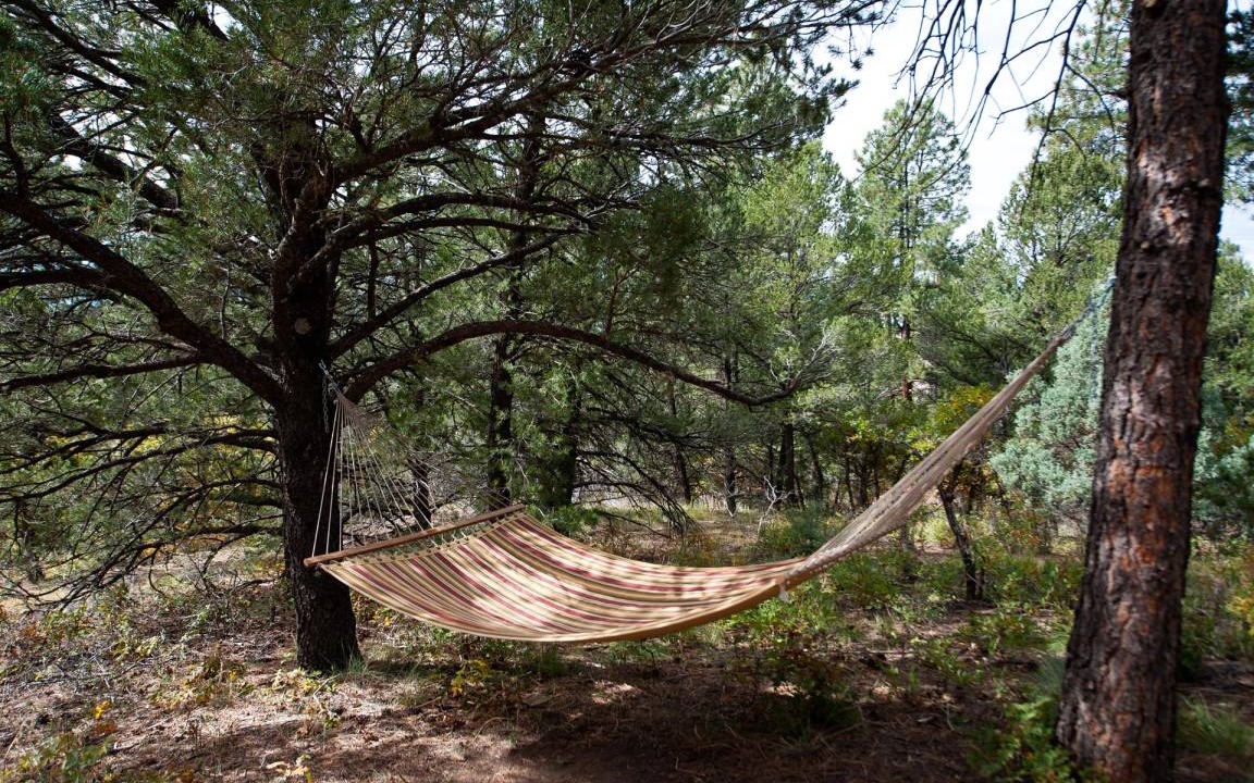 Photo of Others in Durango