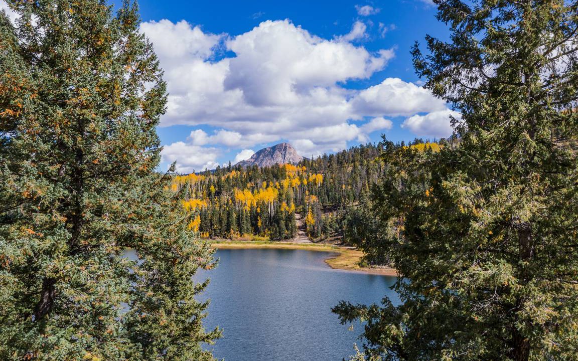 Photo of Others in Columbine Lake