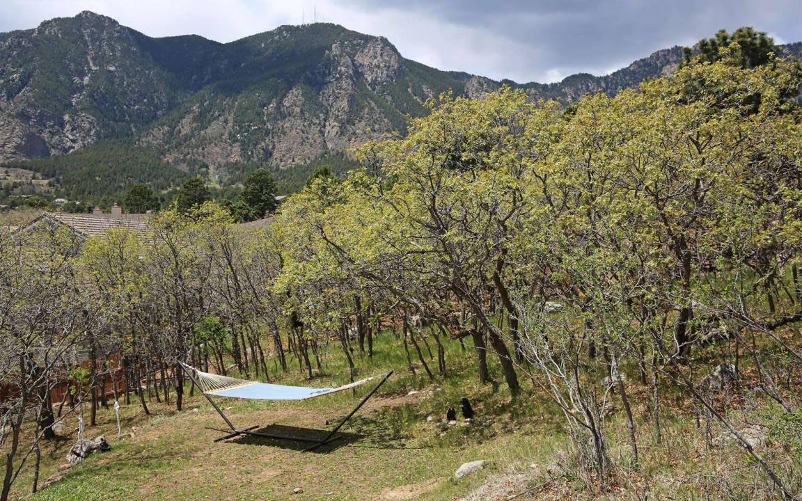 Photo of Others in Southwest Colorado Springs