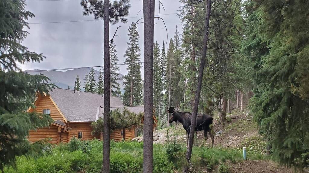 Photo of Others in Peak 9