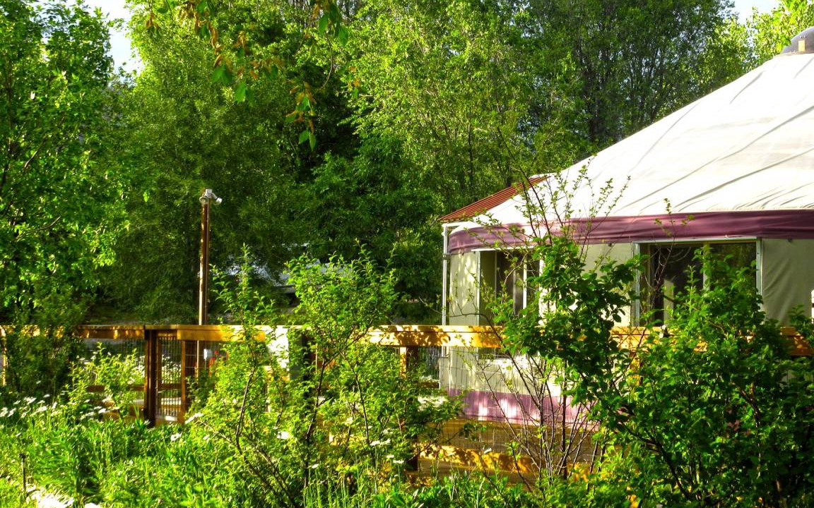 Photo of Outdoor in Lazear