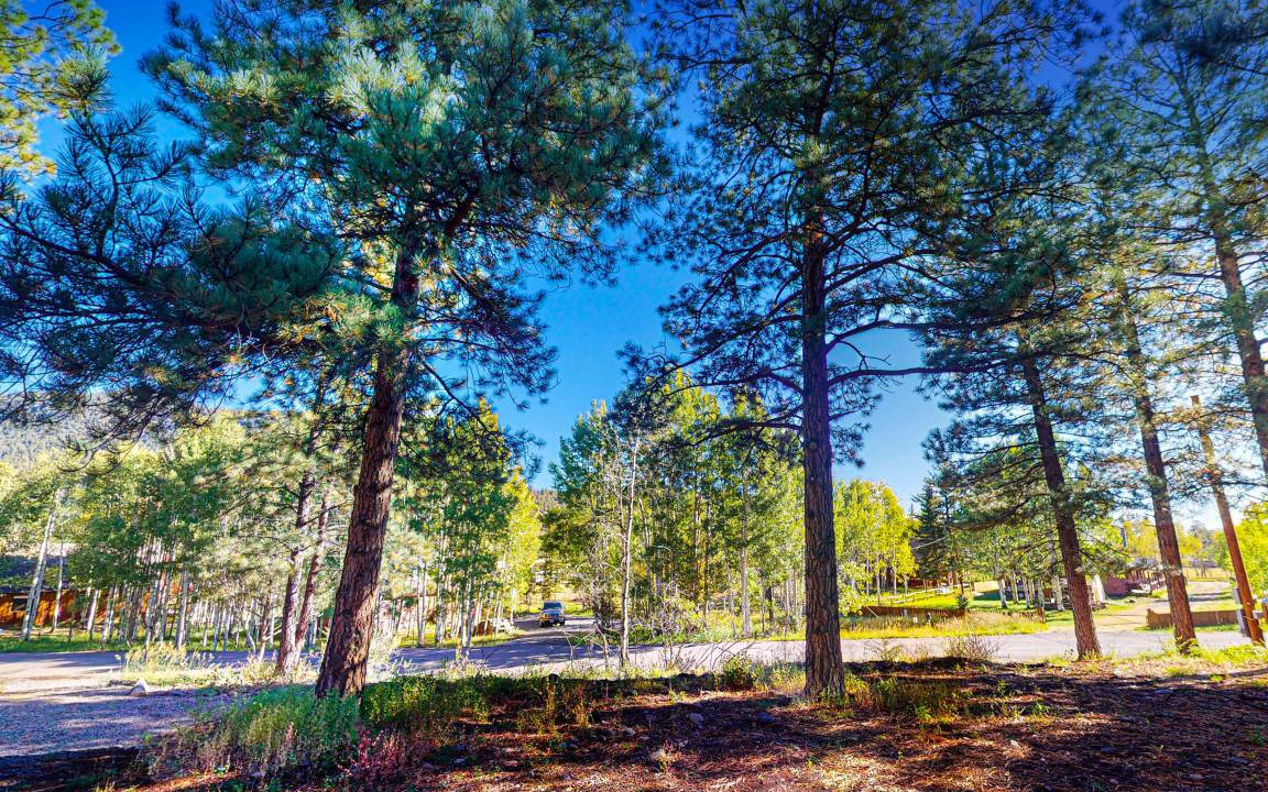 Photo of Others in Ponderosa Pines