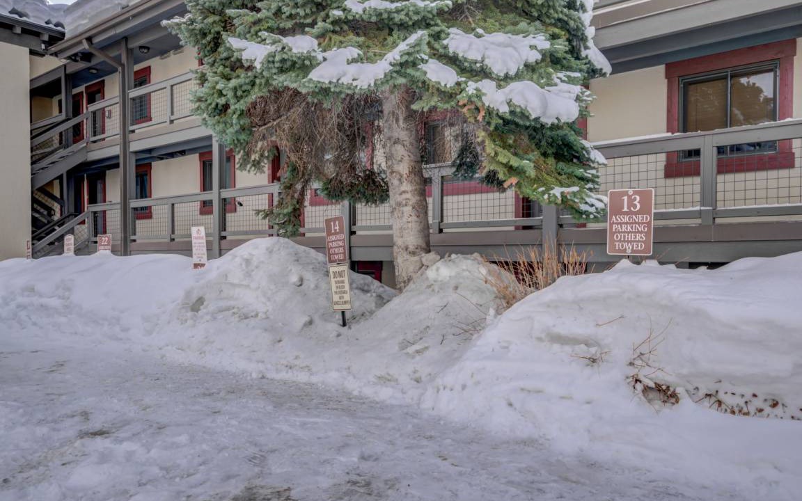 Photo of Others in Downtown Steamboat Springs
