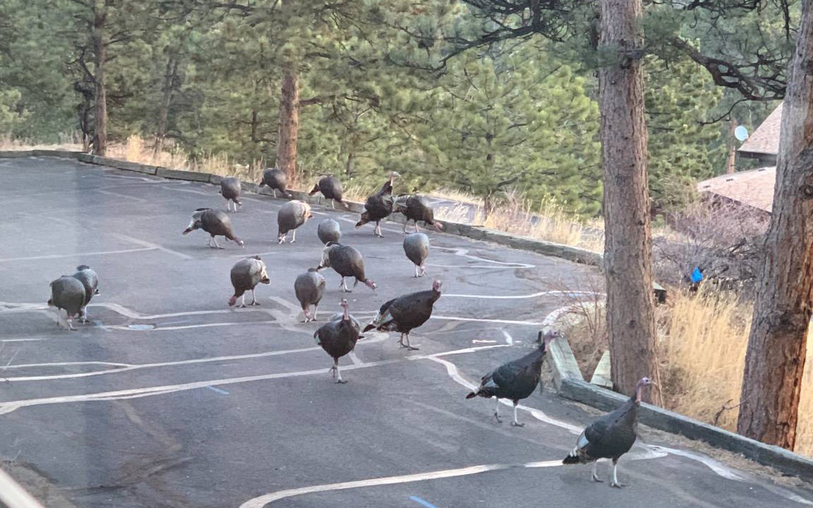 Photo of Others in Fall River Estates