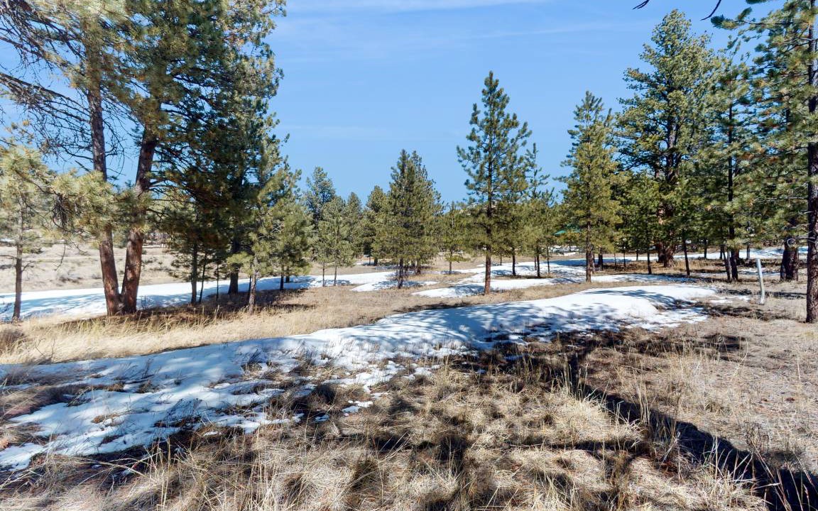 Photo of Others in Westcliffe