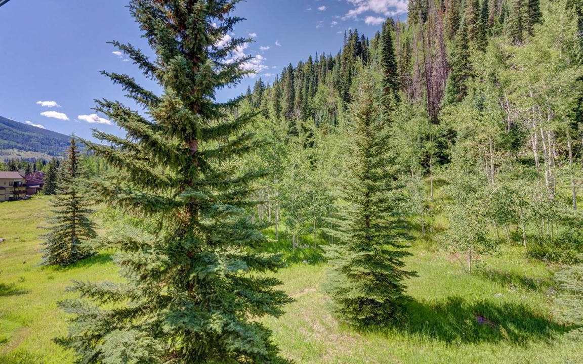 Photo of Others in Vail