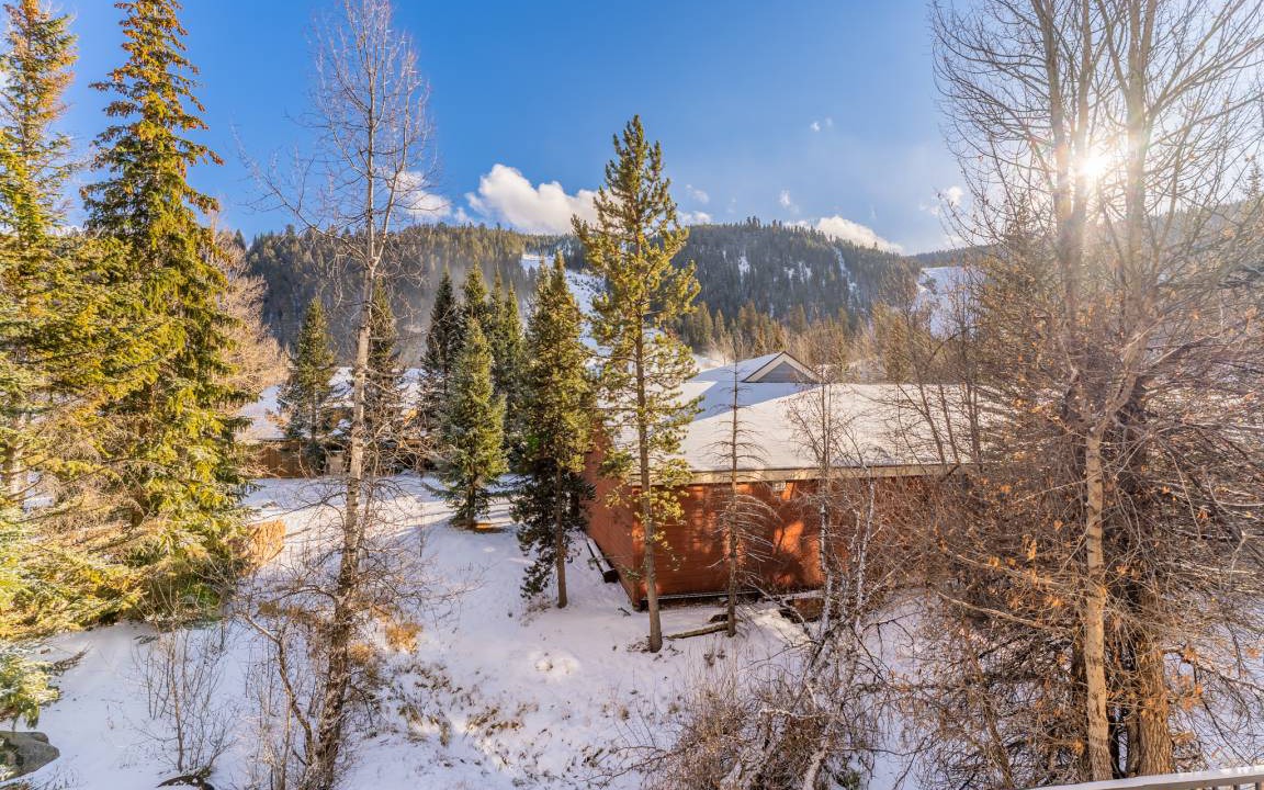 Photo of Others in Mountain House