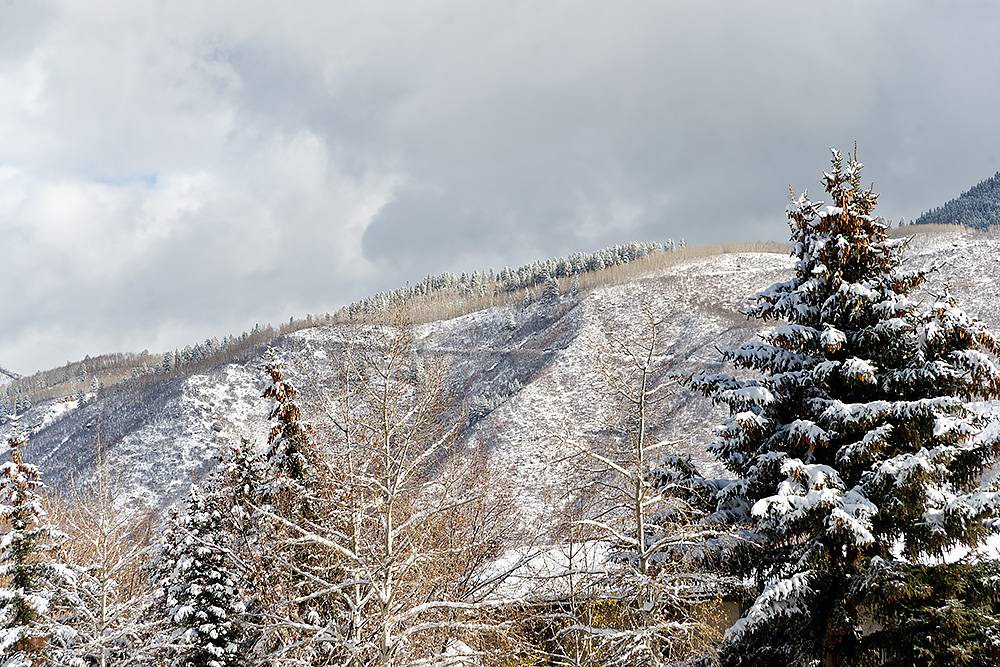 Photo of Others in Aspen
