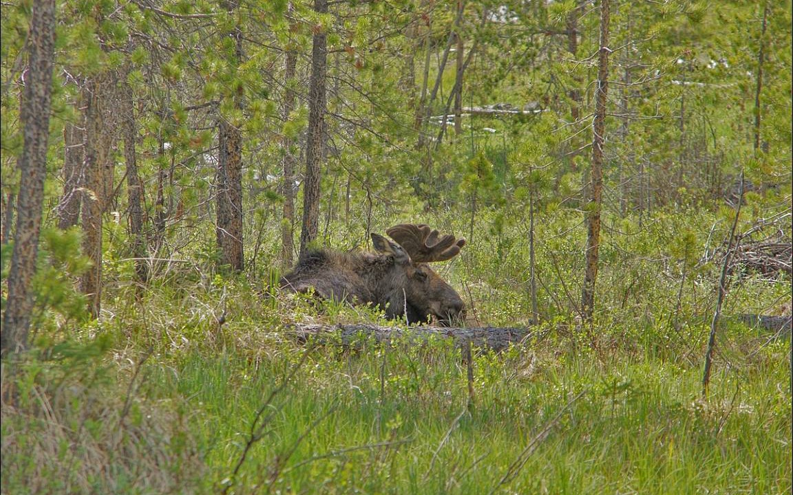 Photo of Others in Grand Lake